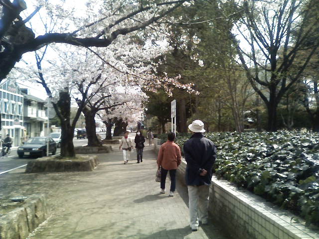 201104111029000.jpg