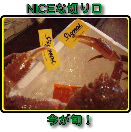 %E6%9D%BE%E8%91%89%E3%81%8B%E3%81%AB.gif