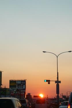 P1000765.JPG